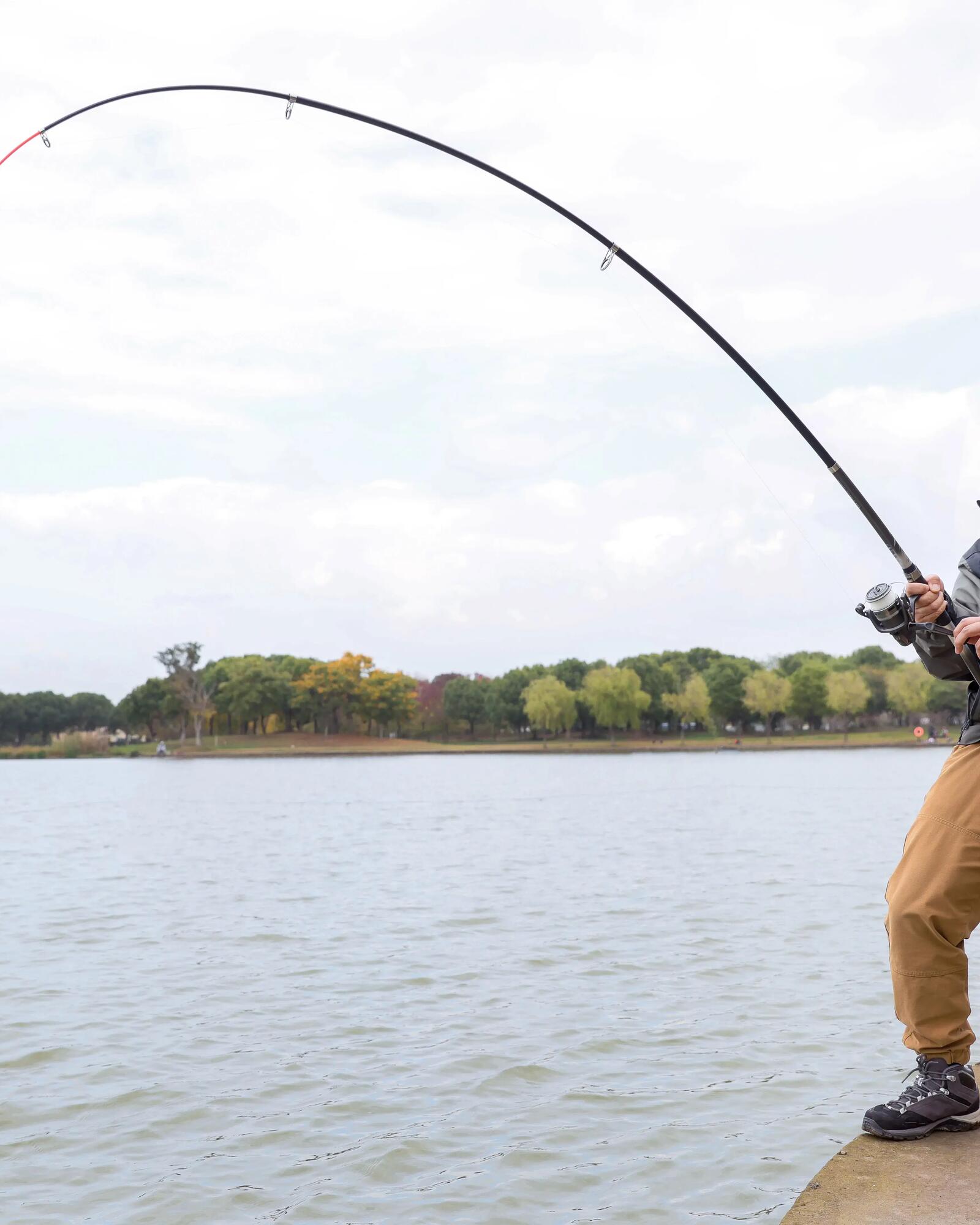 Pesca a bolognese