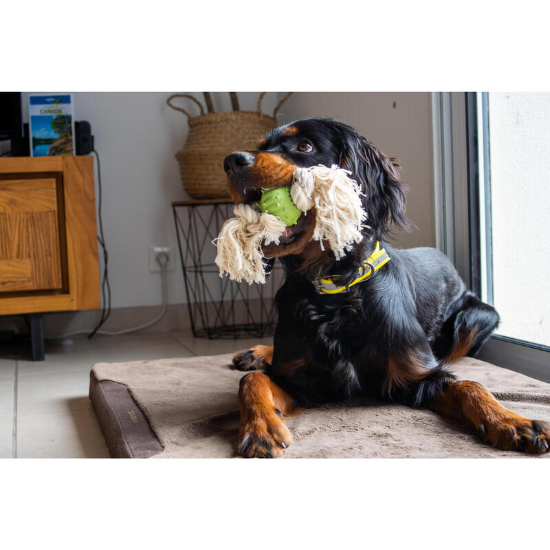 Igelball mit Kordel zur Zahnpflege für Hunde 