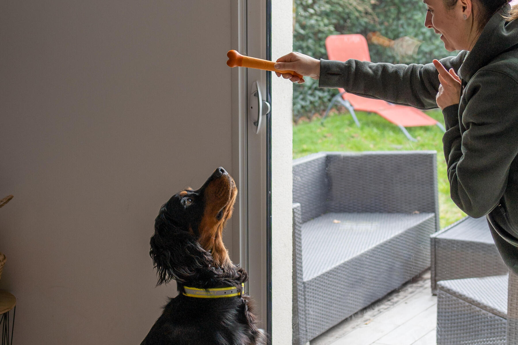 Entrainer son jeune chien