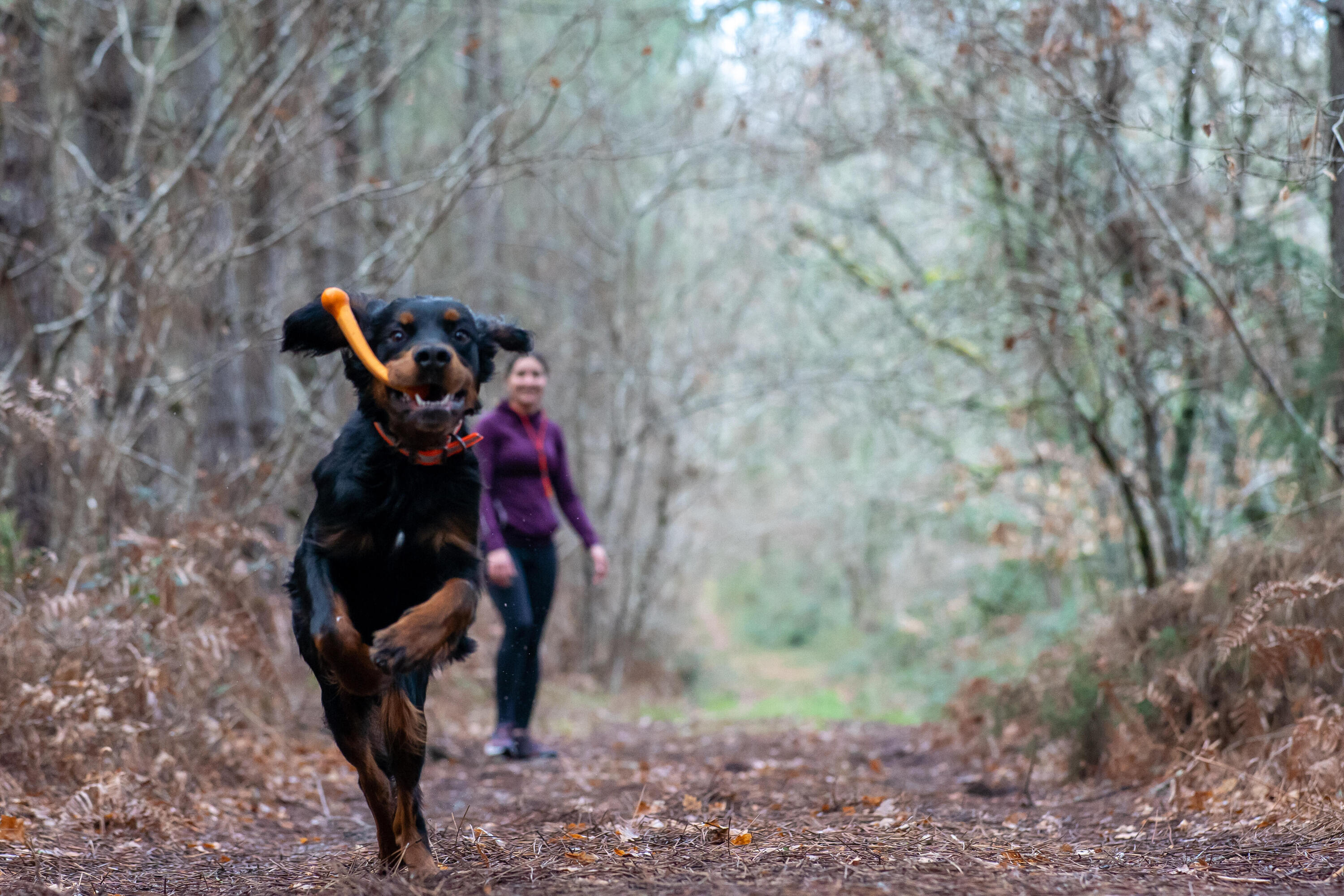 Hundeknochen 100 % Kautschuk M 3/4