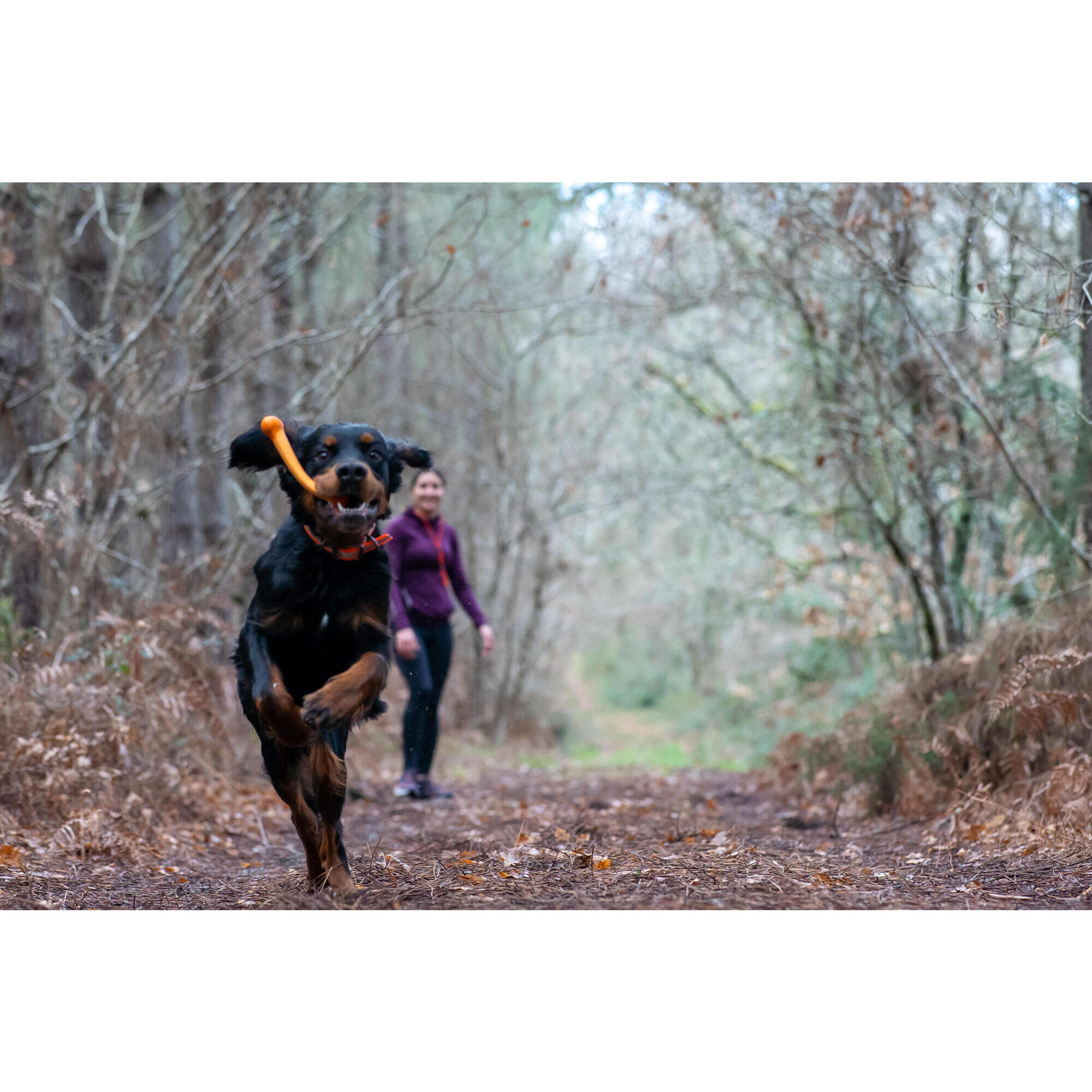 Ossi per cani in gomma naturale al 100%