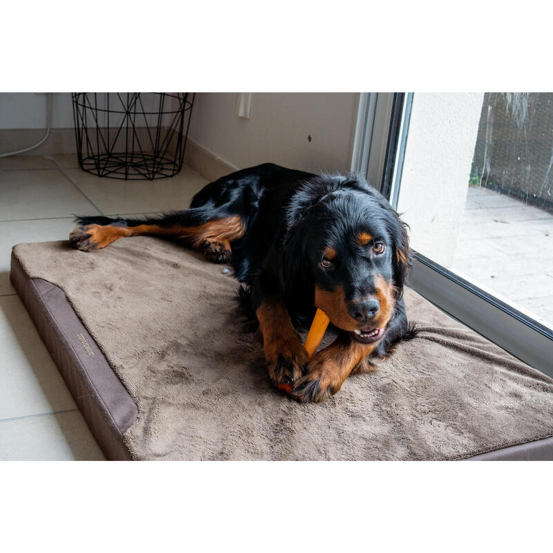 Tapis Chien épaisseur 6cm marron 900