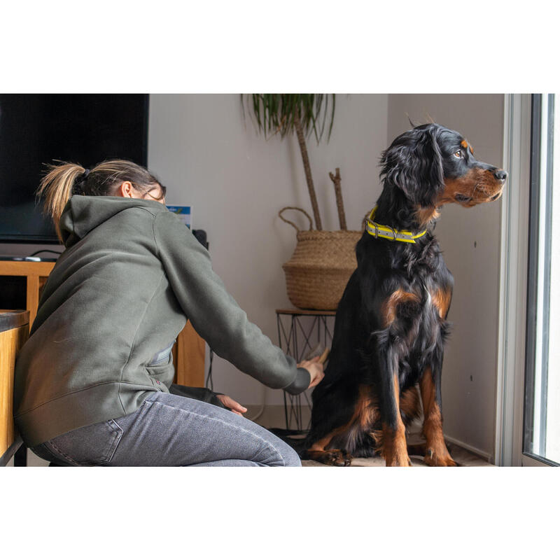 Coleira Refletora para Cão de Caça 520 Amarelo