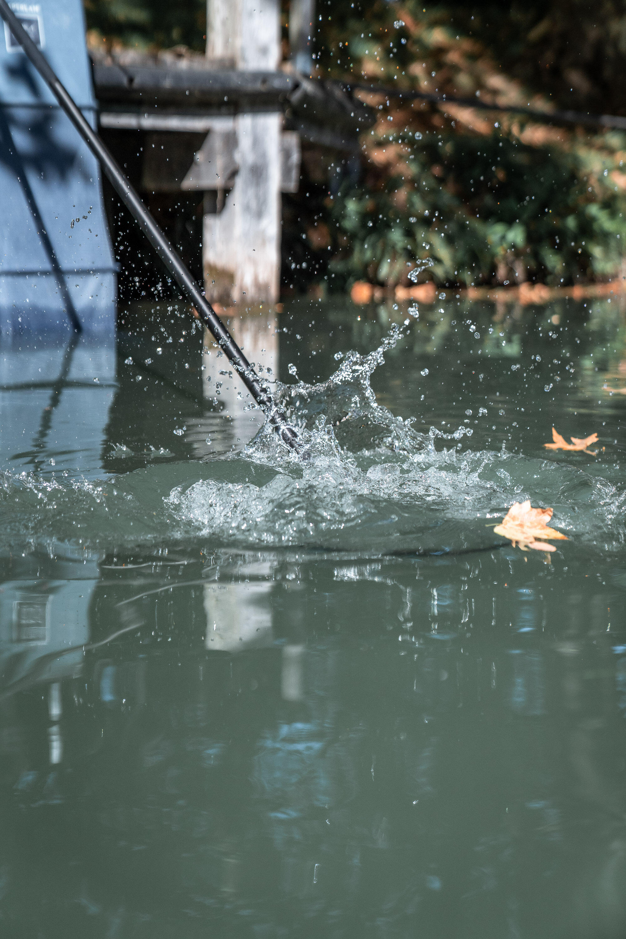 ROUND LANDING NET HEAD 900 LIGHT 0.36M FOR STILL FISHING FOR WHITEFISH 13/13