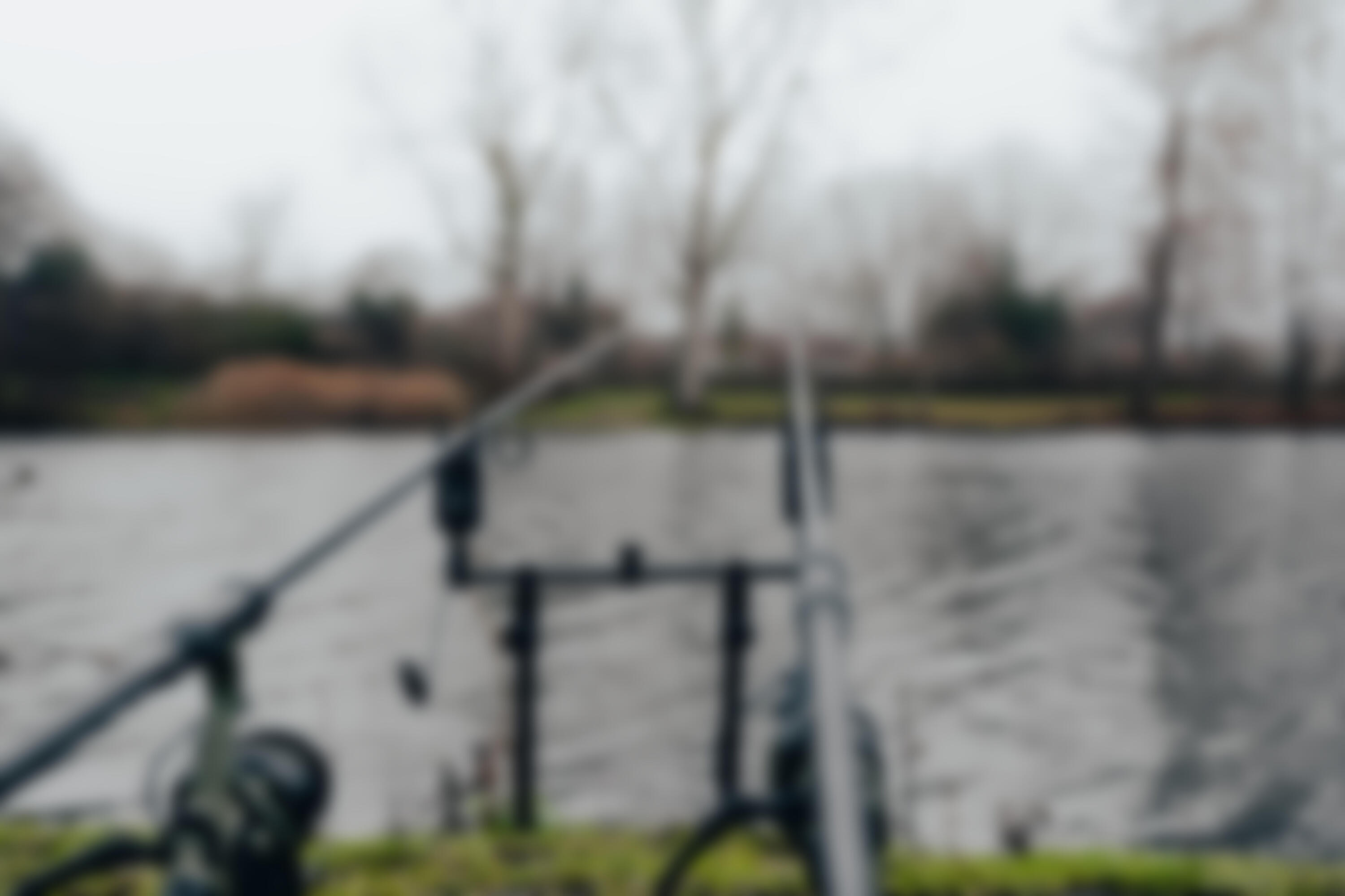 Rod pod Caperlan 500  3/5