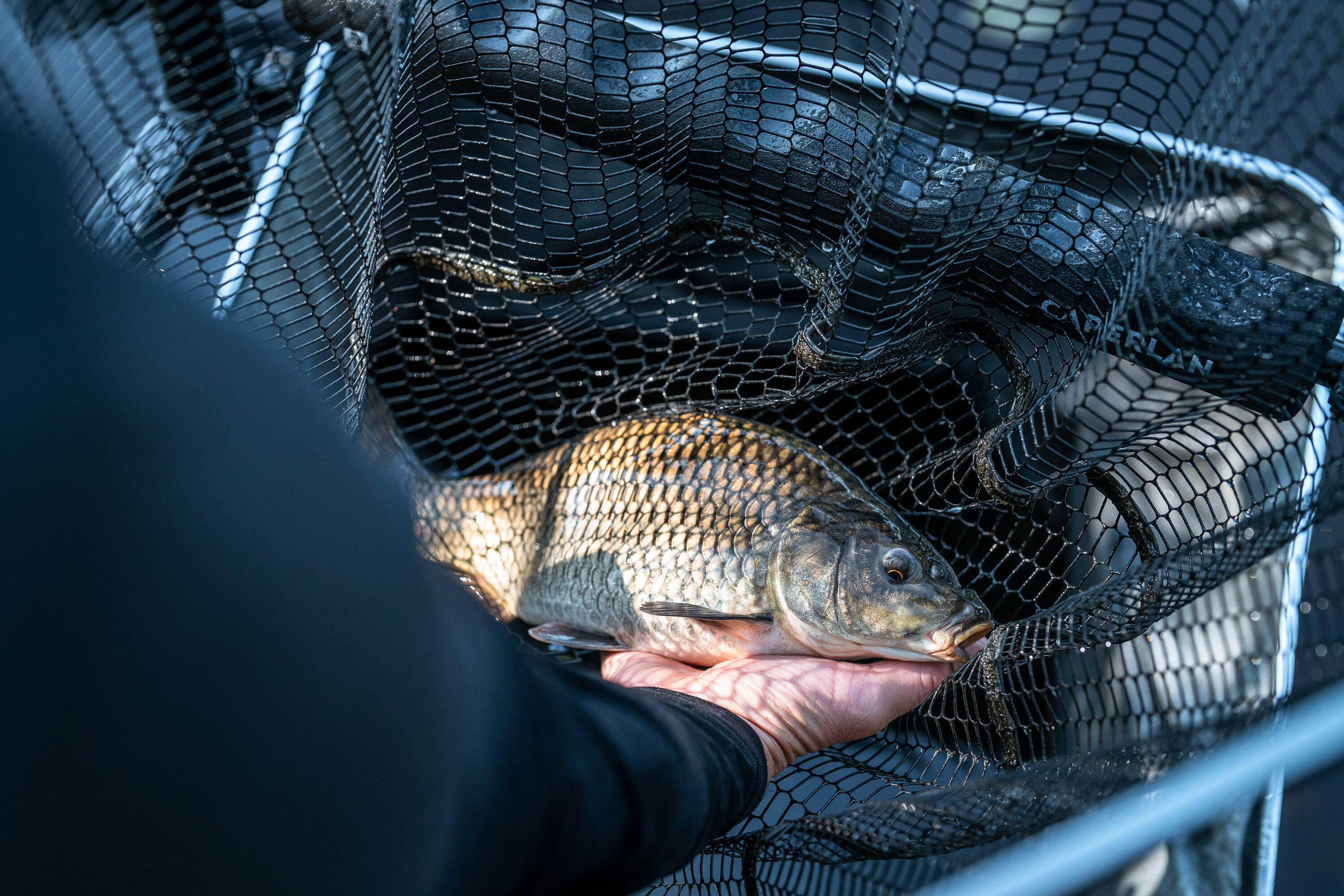 OVAL LANDING NET HEAD 500 POWER 0.56M 10/12