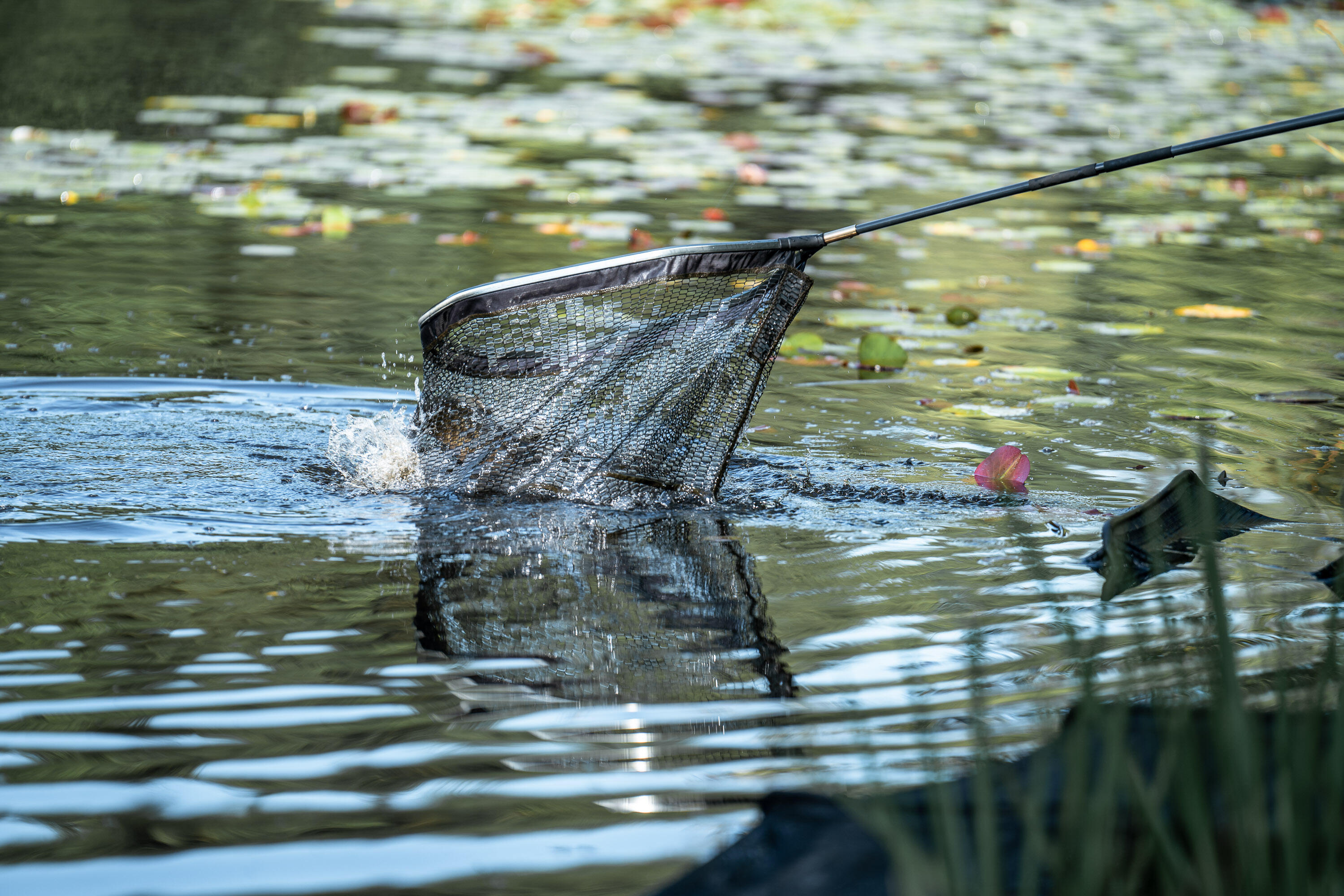 LANDING NET HANDLE 500 POWER 4M PRESS FIT FOR CARP FISHING 9/12
