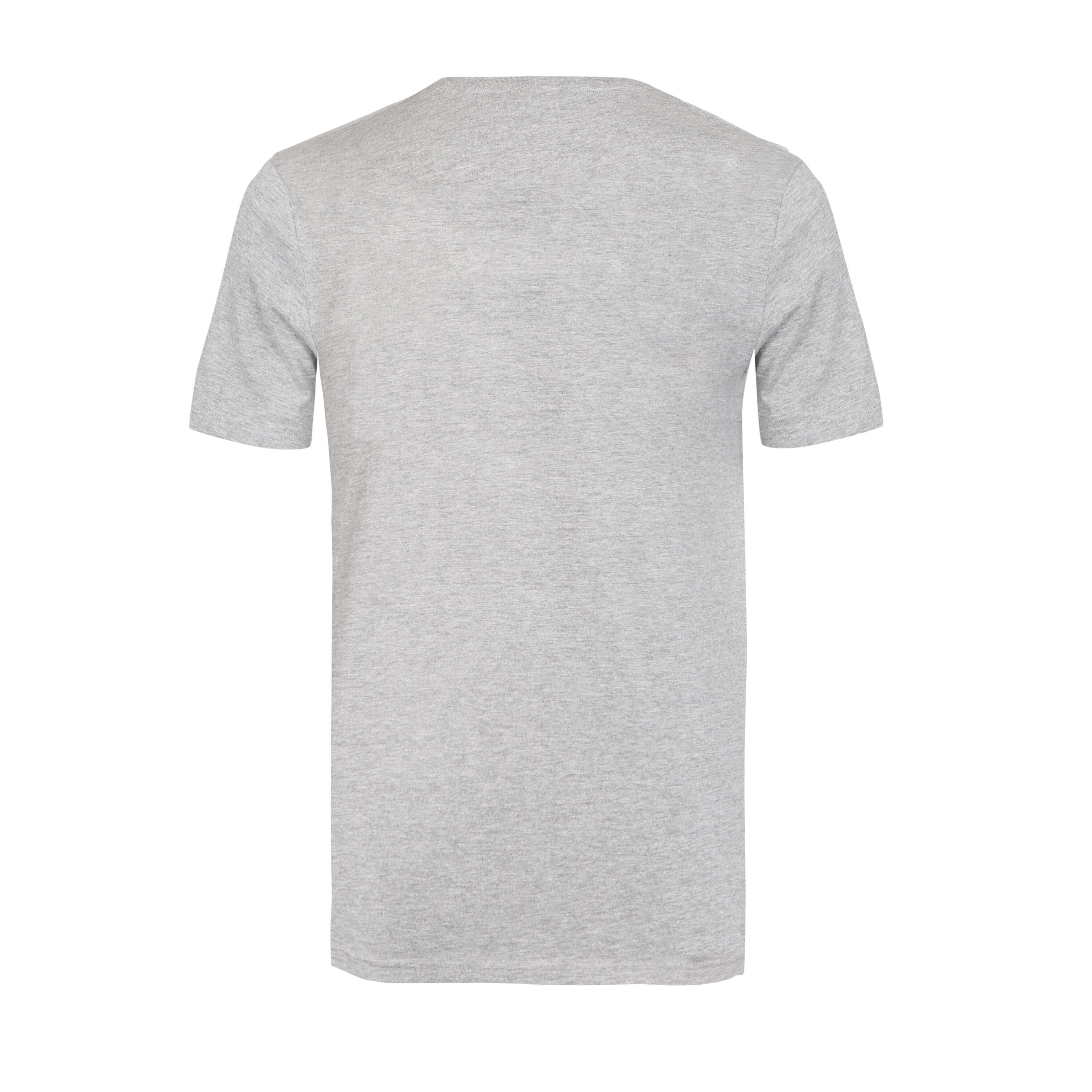 T-SHIRT EVERLAST MANCHES COURTES GRIS 23 5/5