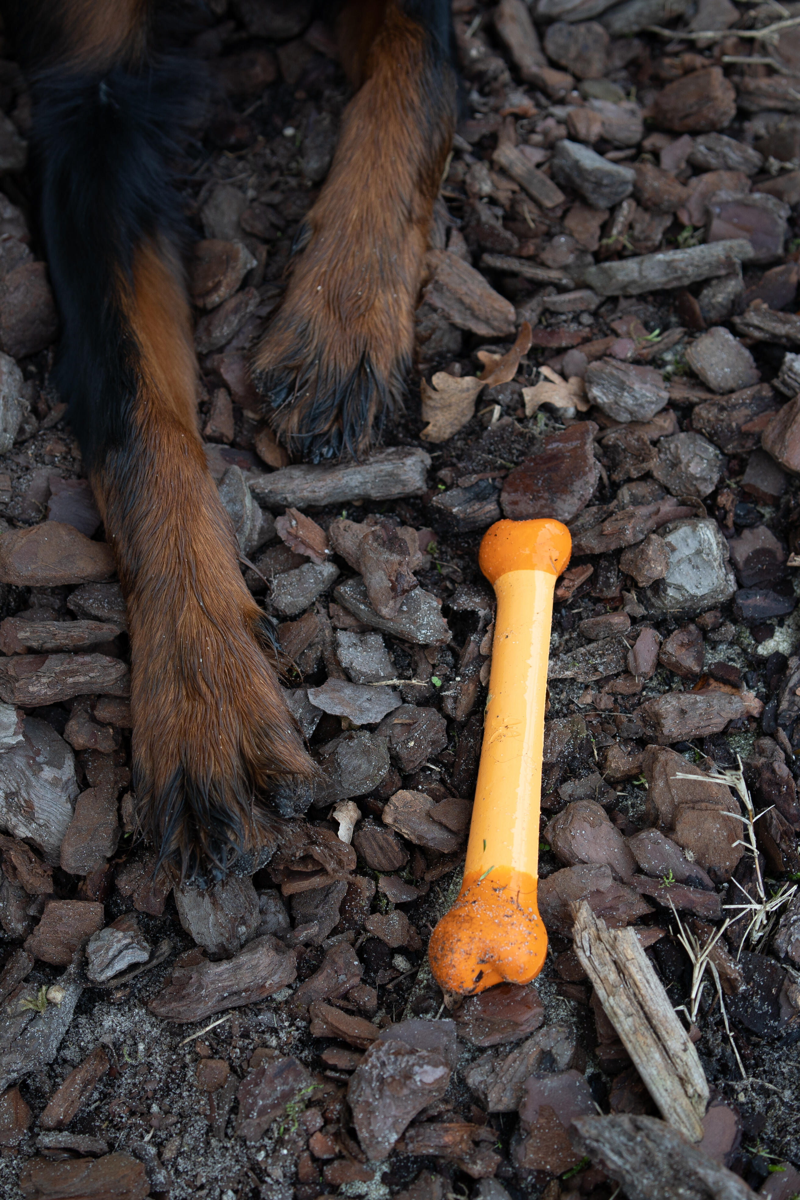 Hundeknochen 100 % Kautschuk M 2/4