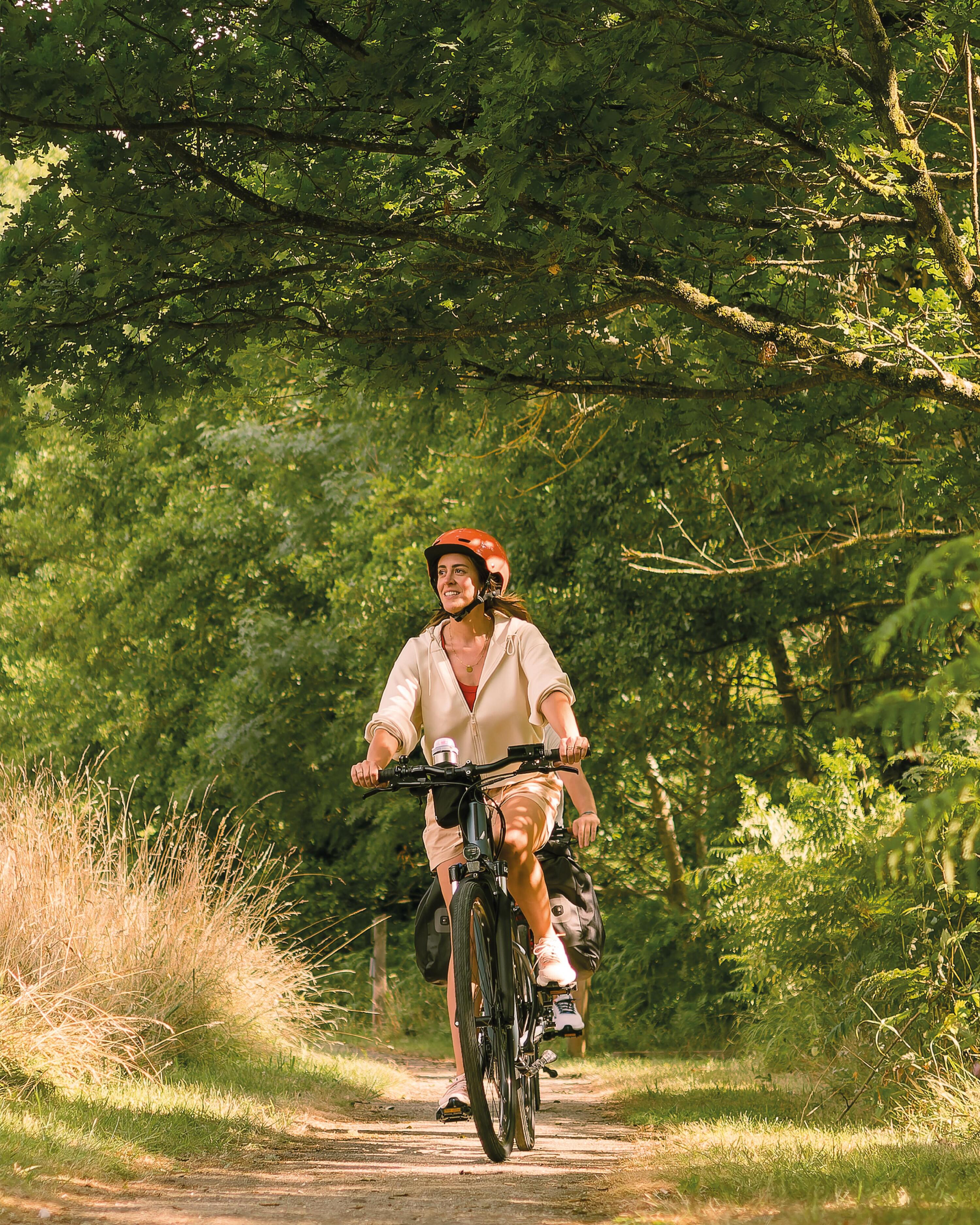 Vélo tout chemin électrique - cadre haut - Riverside 520 E gris 18/24