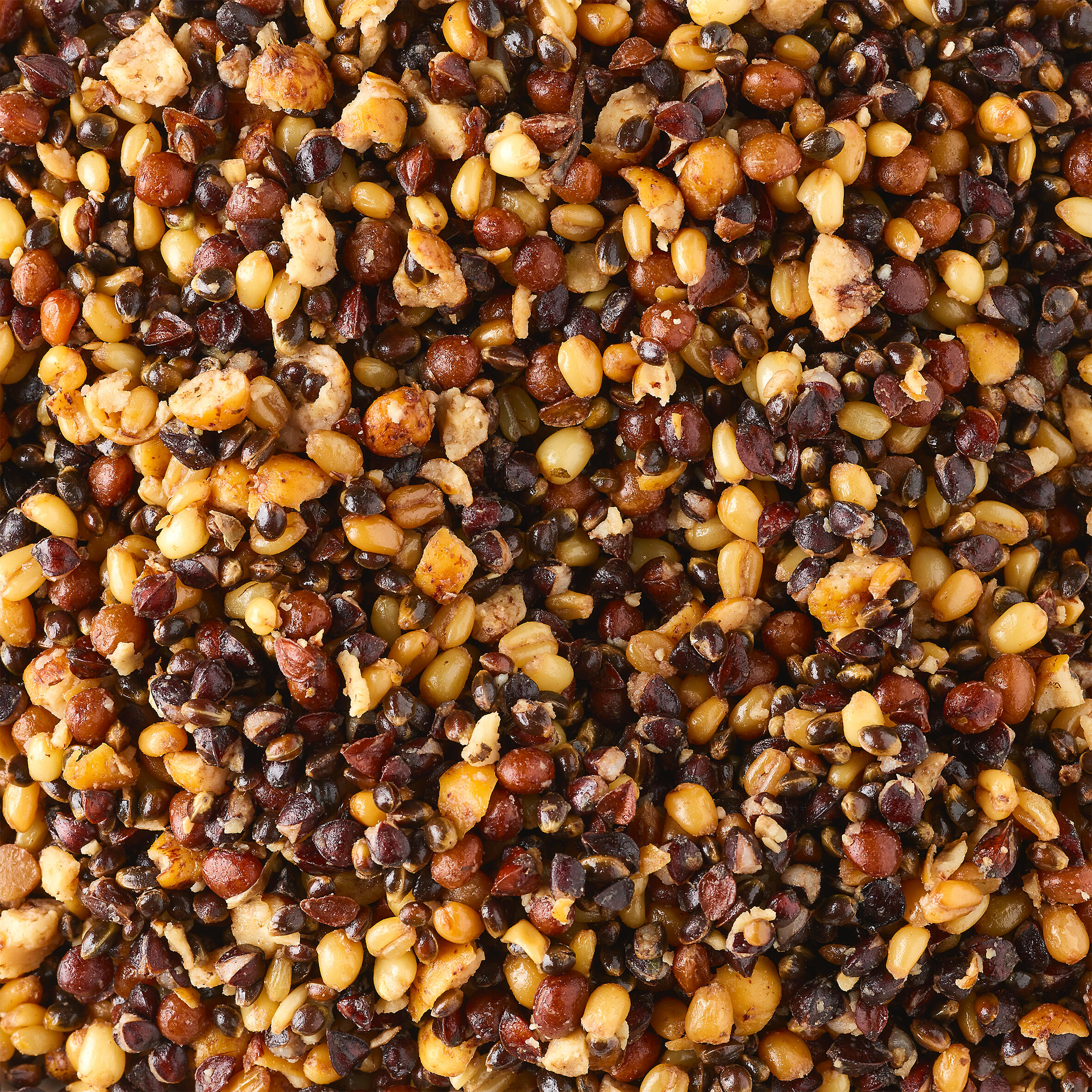 COOKED SEEDS SPODMIX 1KG SEEDS FOR CARP FISHING 2/3