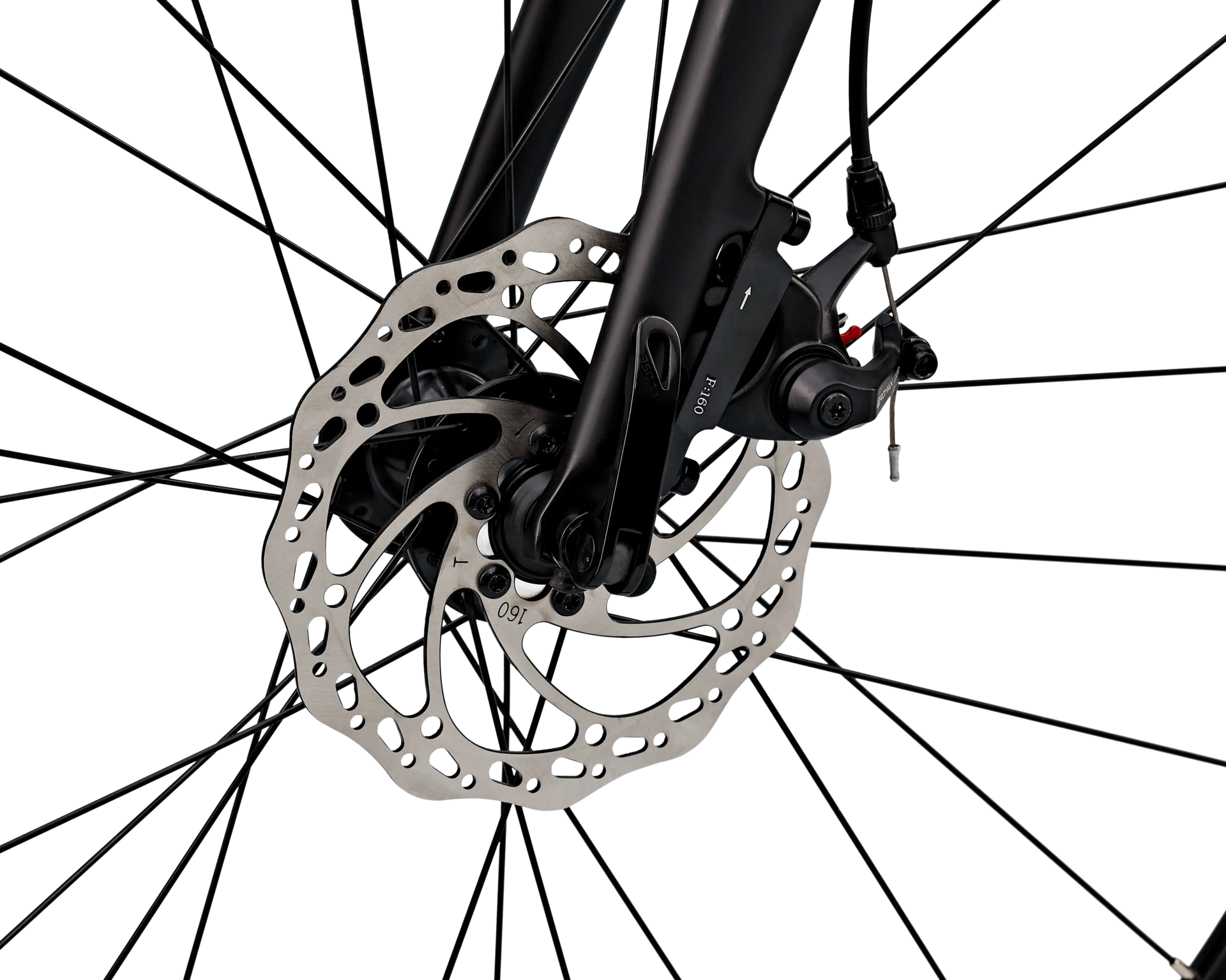 Van Rysel EDR CF disc Rival AXS women's power meter