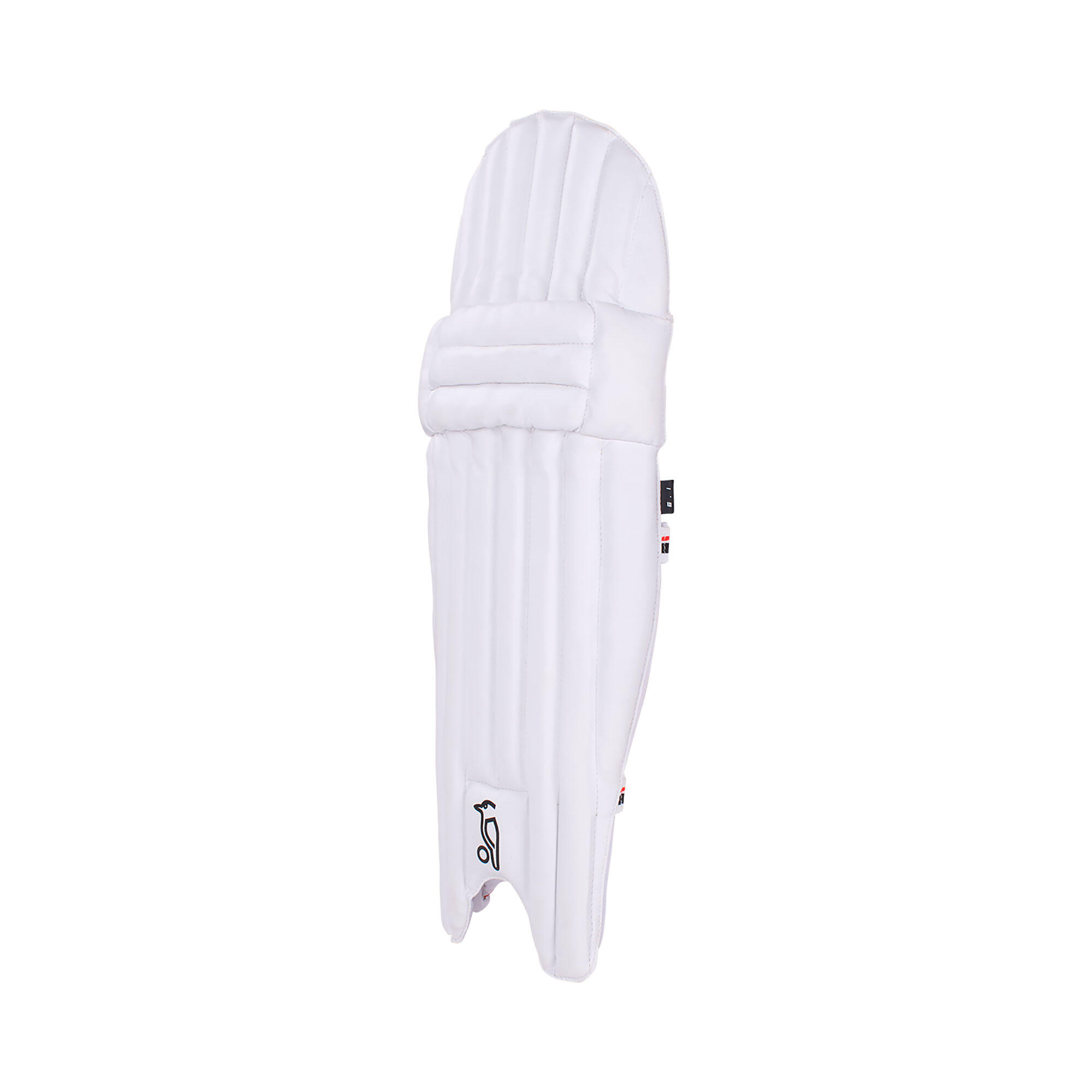 Kookaburra Beast Cricket Batting Pads 6.1 Jr 2023 4/4