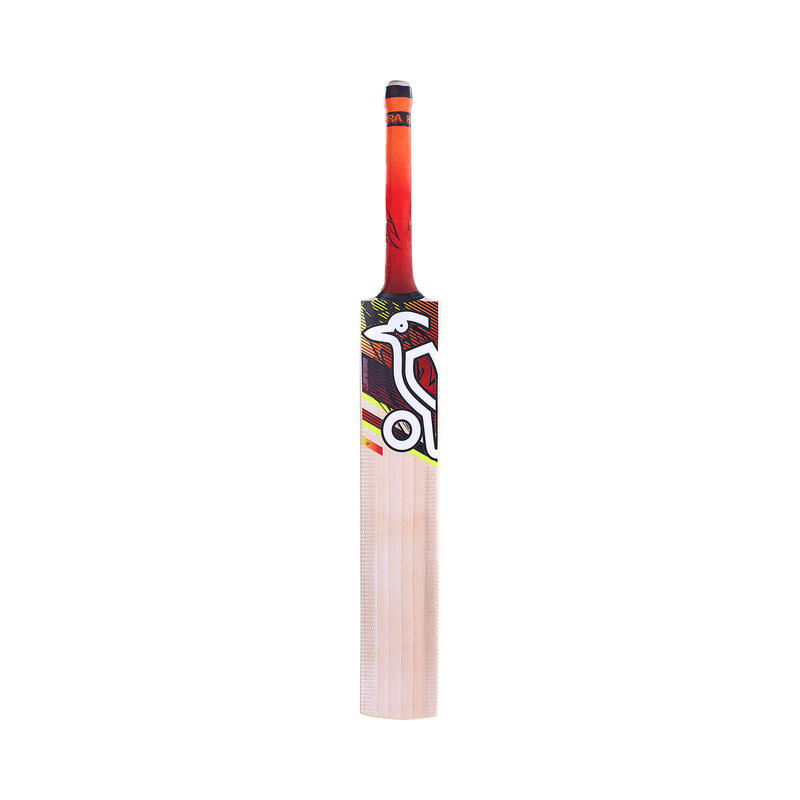 Kookaburra Beast Cricket Bat 9.1 Kashmir Willow 23 KOOKABURRA Decathlon