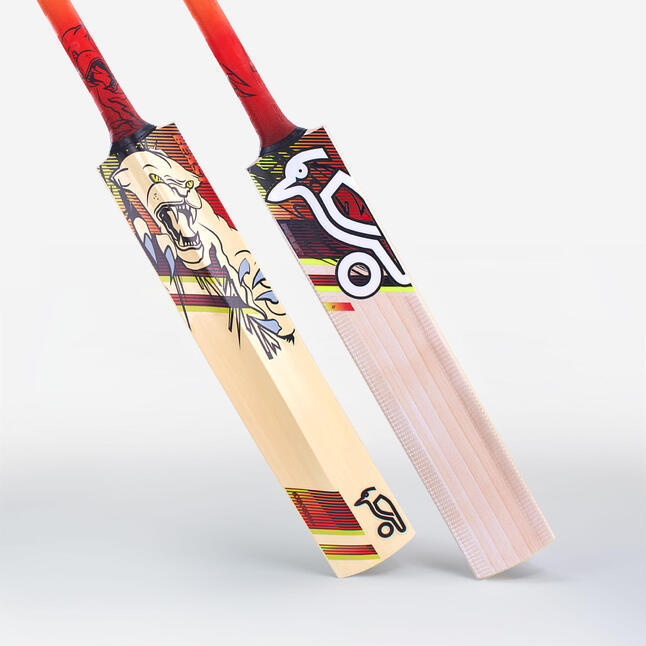 Kookaburra Beast Cricket Bat 9.1 Kashmir Willow 23 KOOKABURRA Decathlon