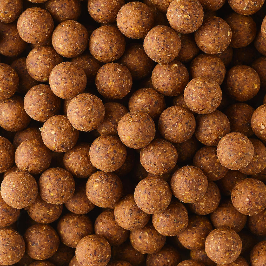 Boilies Carp Fishing XTREM 900 14 mm 1 kg Crustaceans-Black pepper