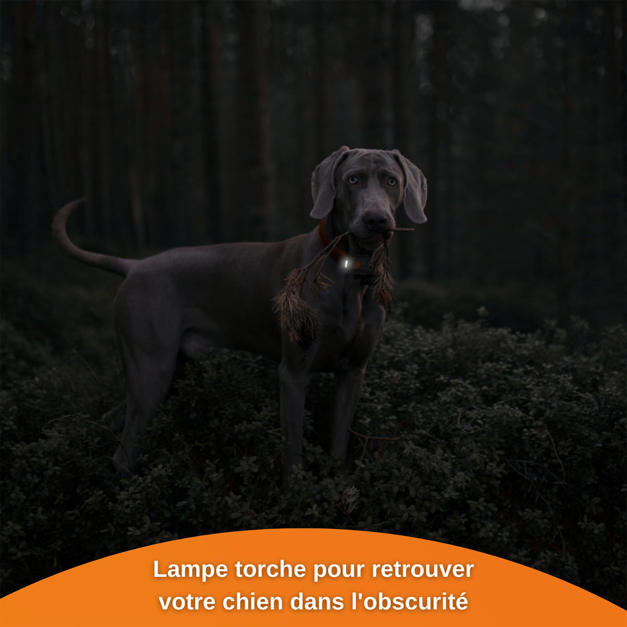 Collier traceur gps pour chien weenect v2 18/24