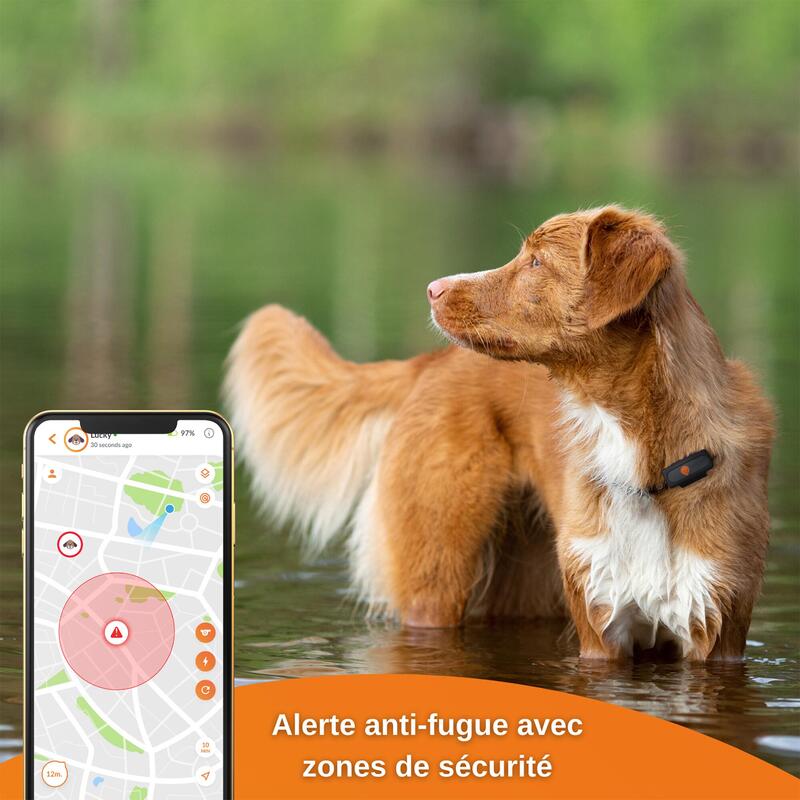 Collier avec traceur GPS et écoute pour chien et animal 