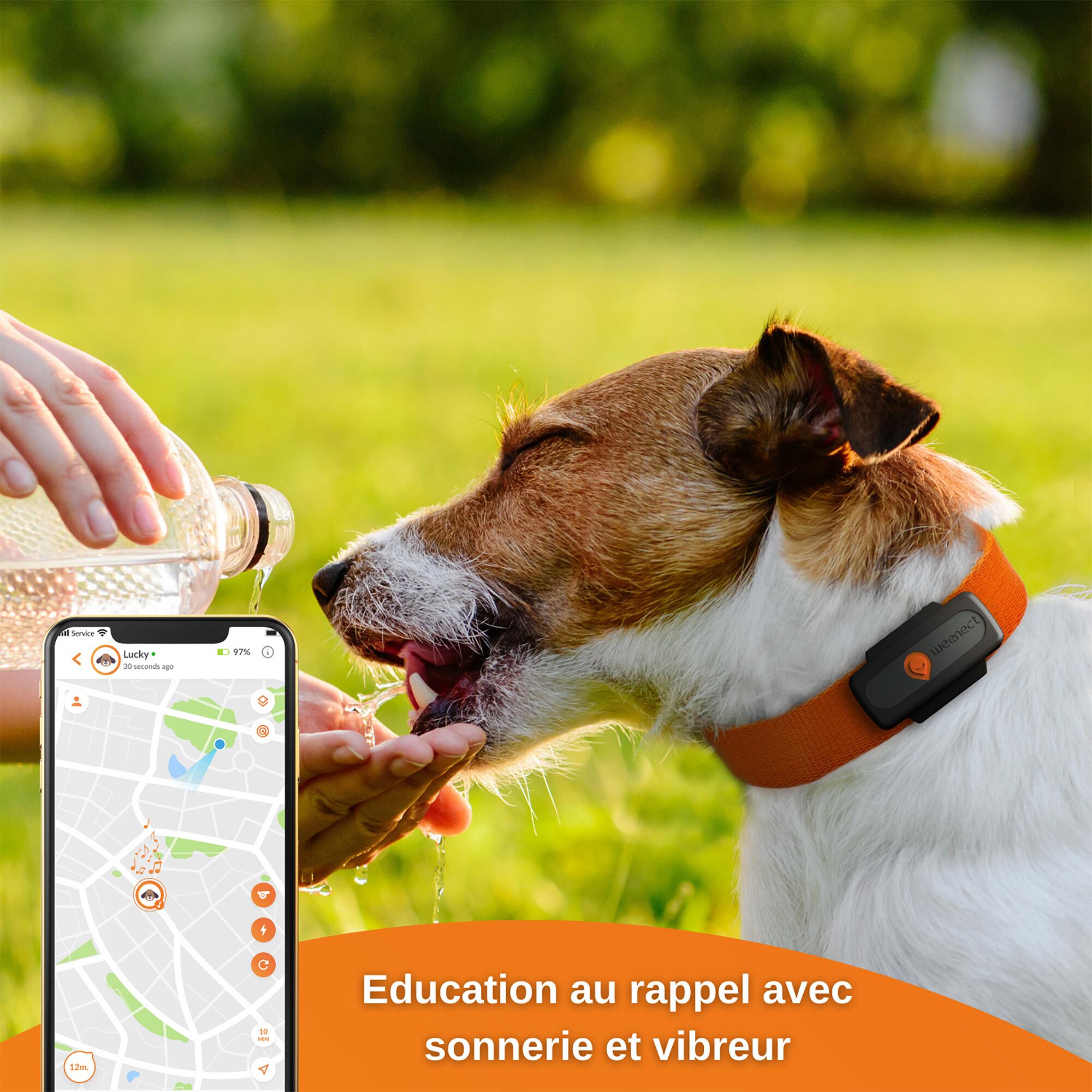 Collier traceur gps pour chien weenect v2 20/24