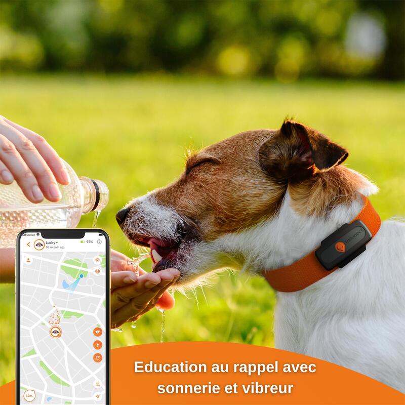 Collier traceur GPS pour chien Weenect V2