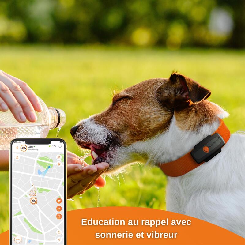 GPS nyomkövető nyakörv kutyáknak - Weenect V2 
