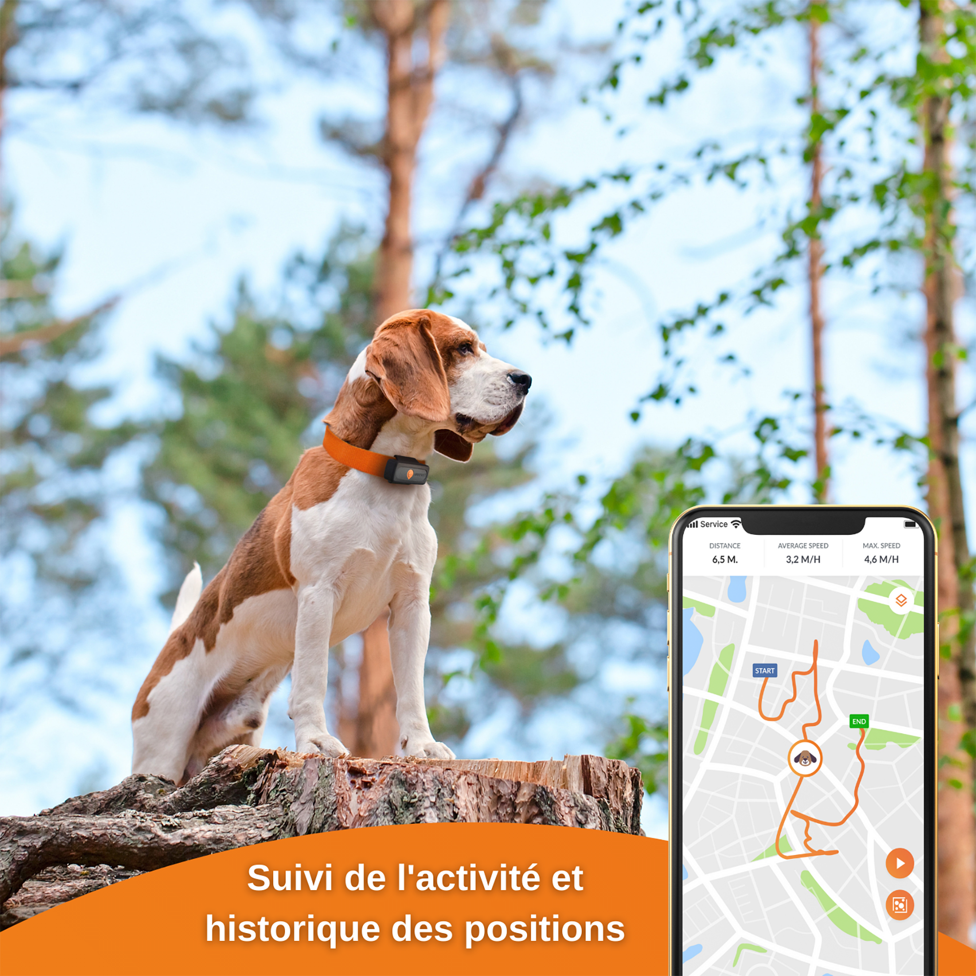 Collar adiestramiento Weenect localizador GPS perro 4G/2G