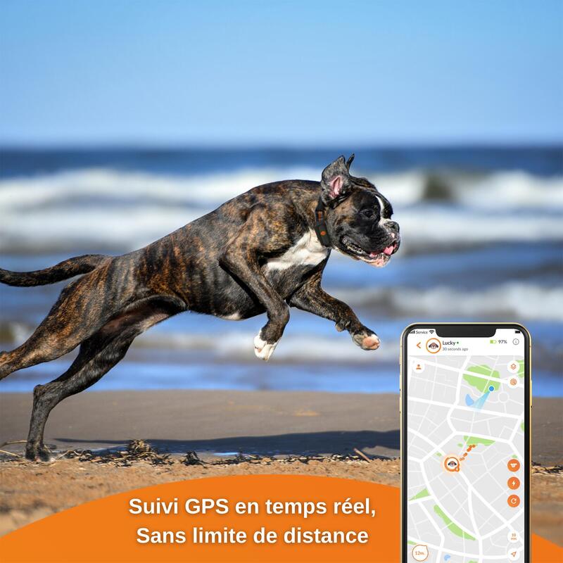 GPS nyomkövető nyakörv kutyáknak - Weenect V2 