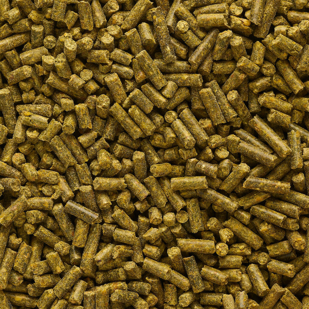 Angelfutter Pellets Gooster Babycorn würziger Hanf 4 mm 0,7 kg 