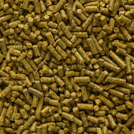 Pelet od bebi-kukuruza GOOSTER sa semenkama konoplje SPICY za ribolov šarana 4 mm / 0,7 kg