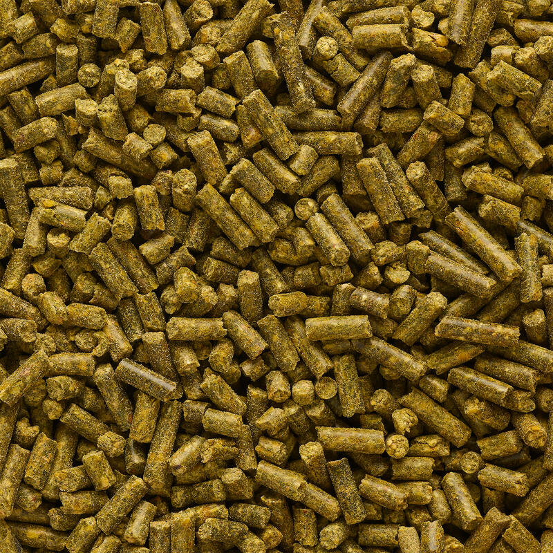 Angelfutter Pellets Gooster Babycorn würziger Hanf 4 mm 0,7 kg 