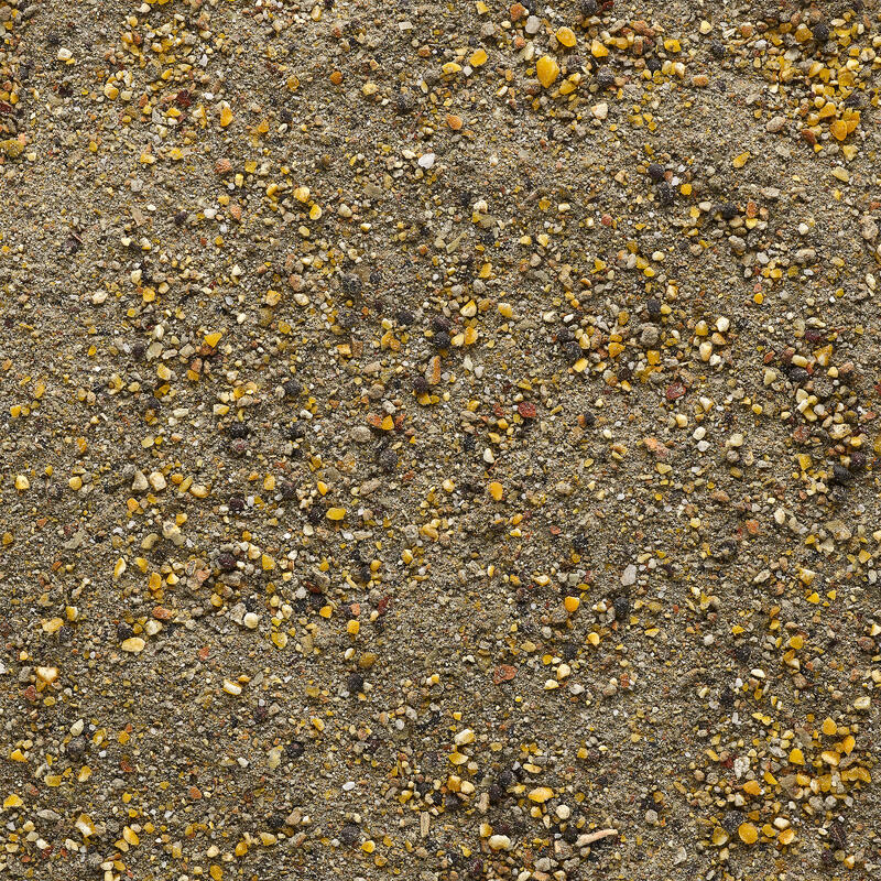 Pastura Sarda Tritata In Rete Secchio Pesca Mare Traina