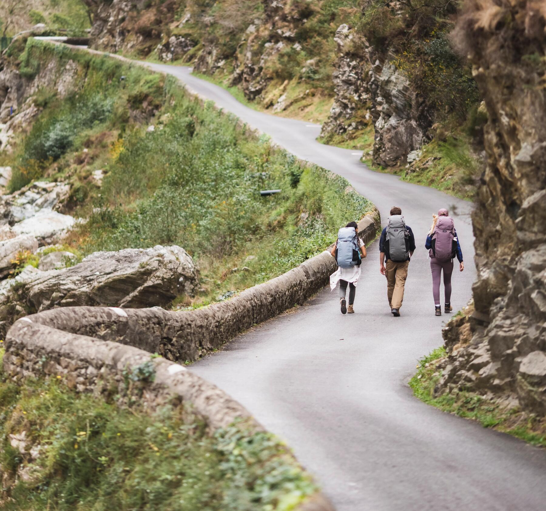 Le Chemin de Compostelle: Les routes les plus connues
