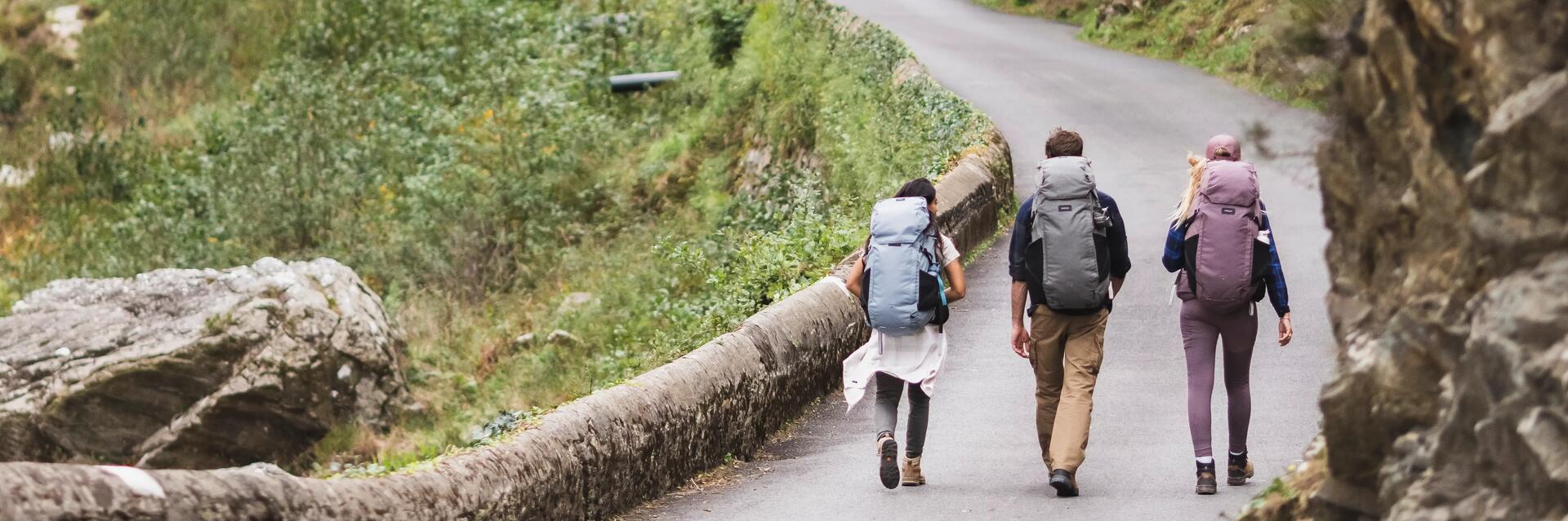 Camino de Santiago por el camino portugués