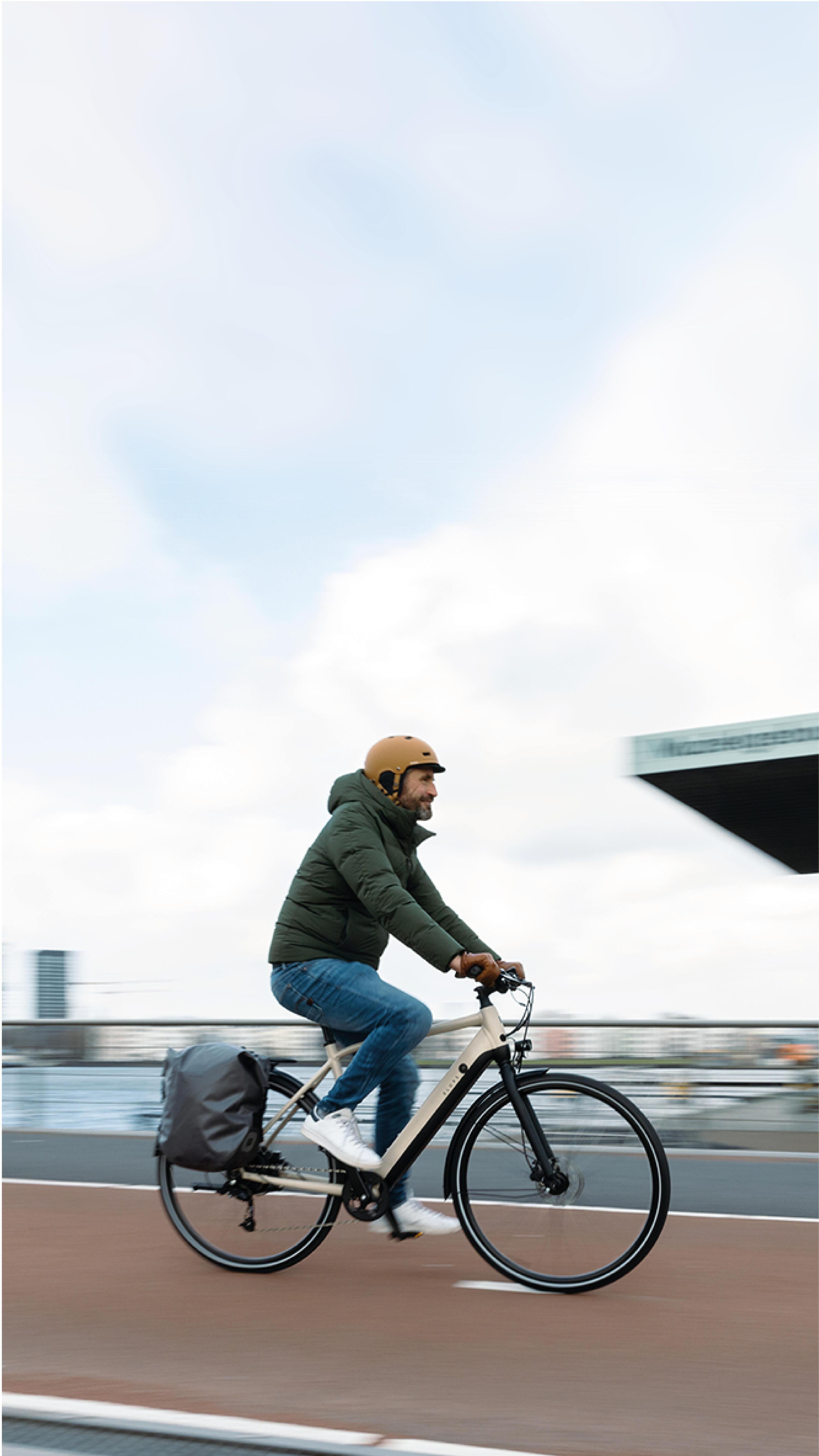 E-Bike City Trekking Bike 28 Zoll Elops LD500E HF Herren kitt 31/33