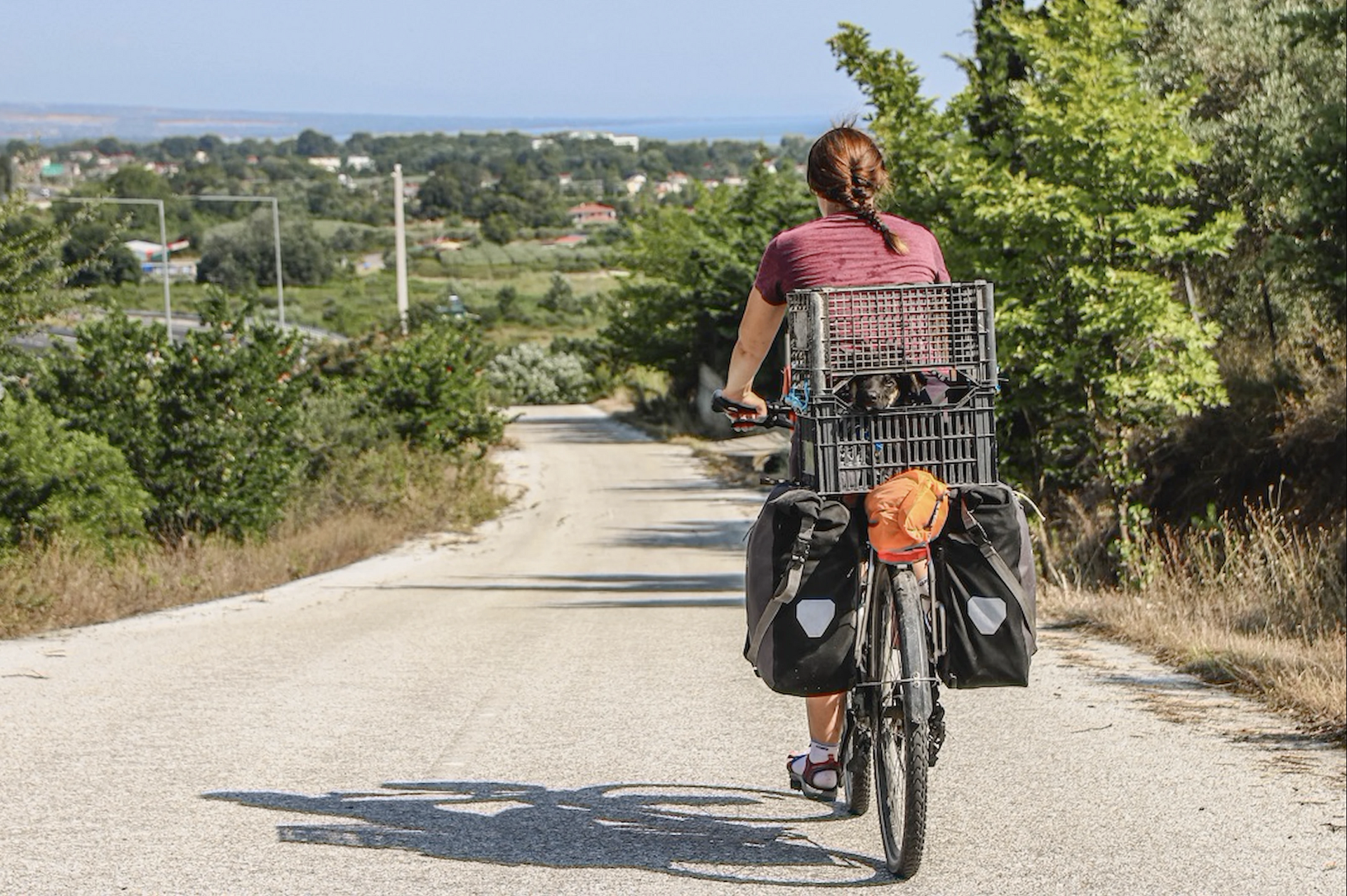 Tipuri de biciclete: Care este alegerea potrivită pentru tine?