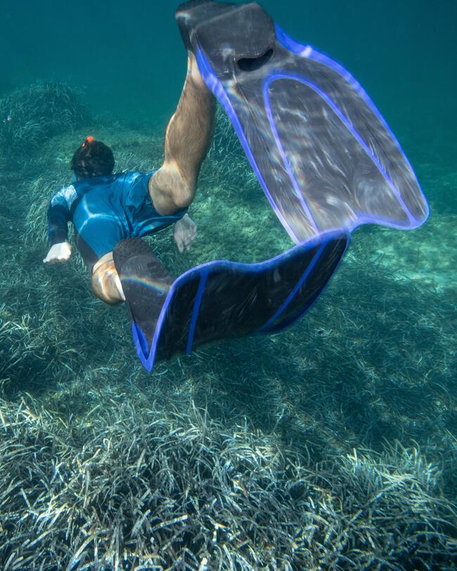 Mann taucht beim Schnorcheln ab, Rückansicht, blaue Schnorchelflossen, Badehose, Neoprenoberteil