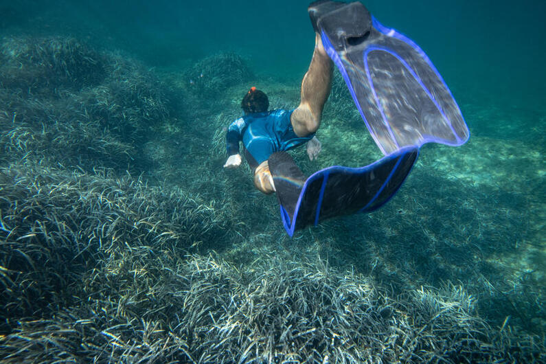 Magasins de snorkling