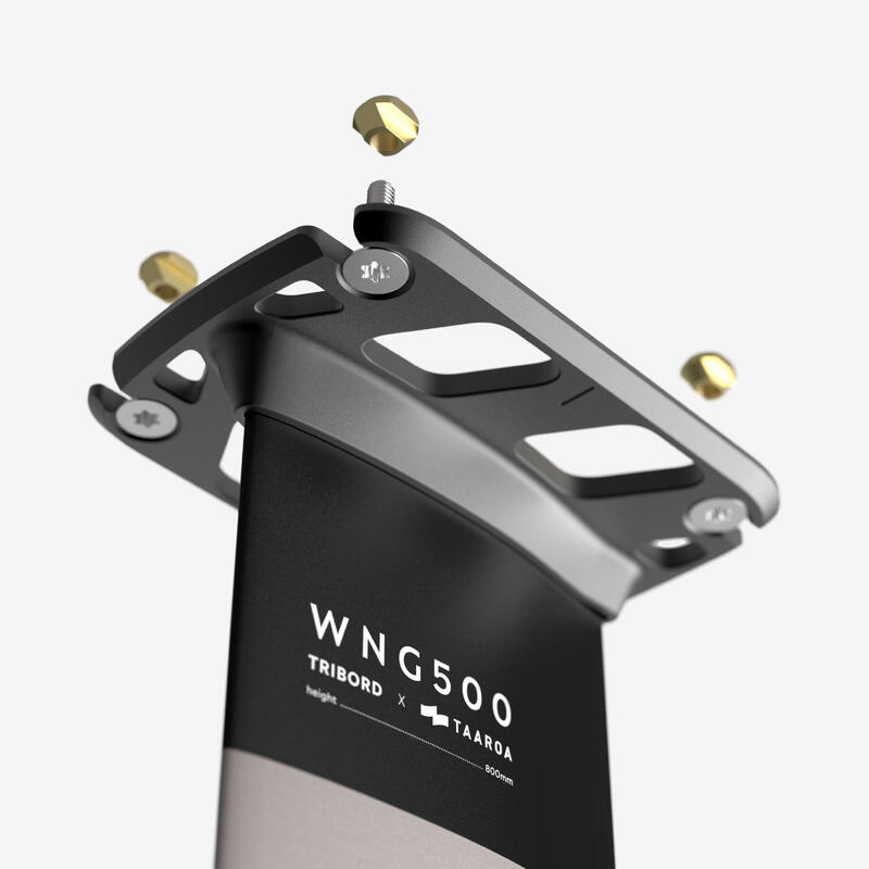 Foil wing WNG 500 1900 cm²