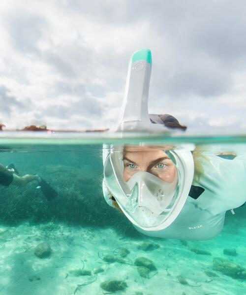 <i>snorkel</i>