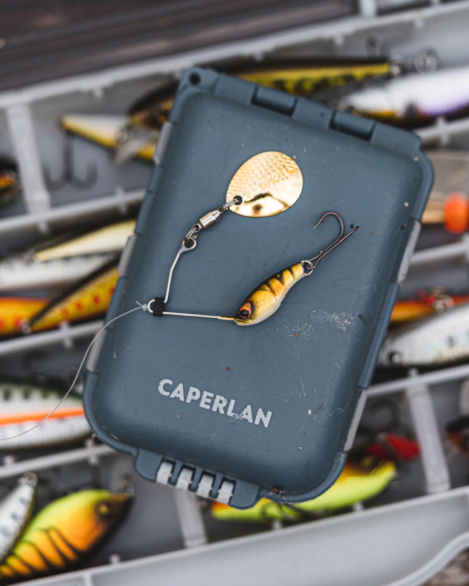 carp fishing