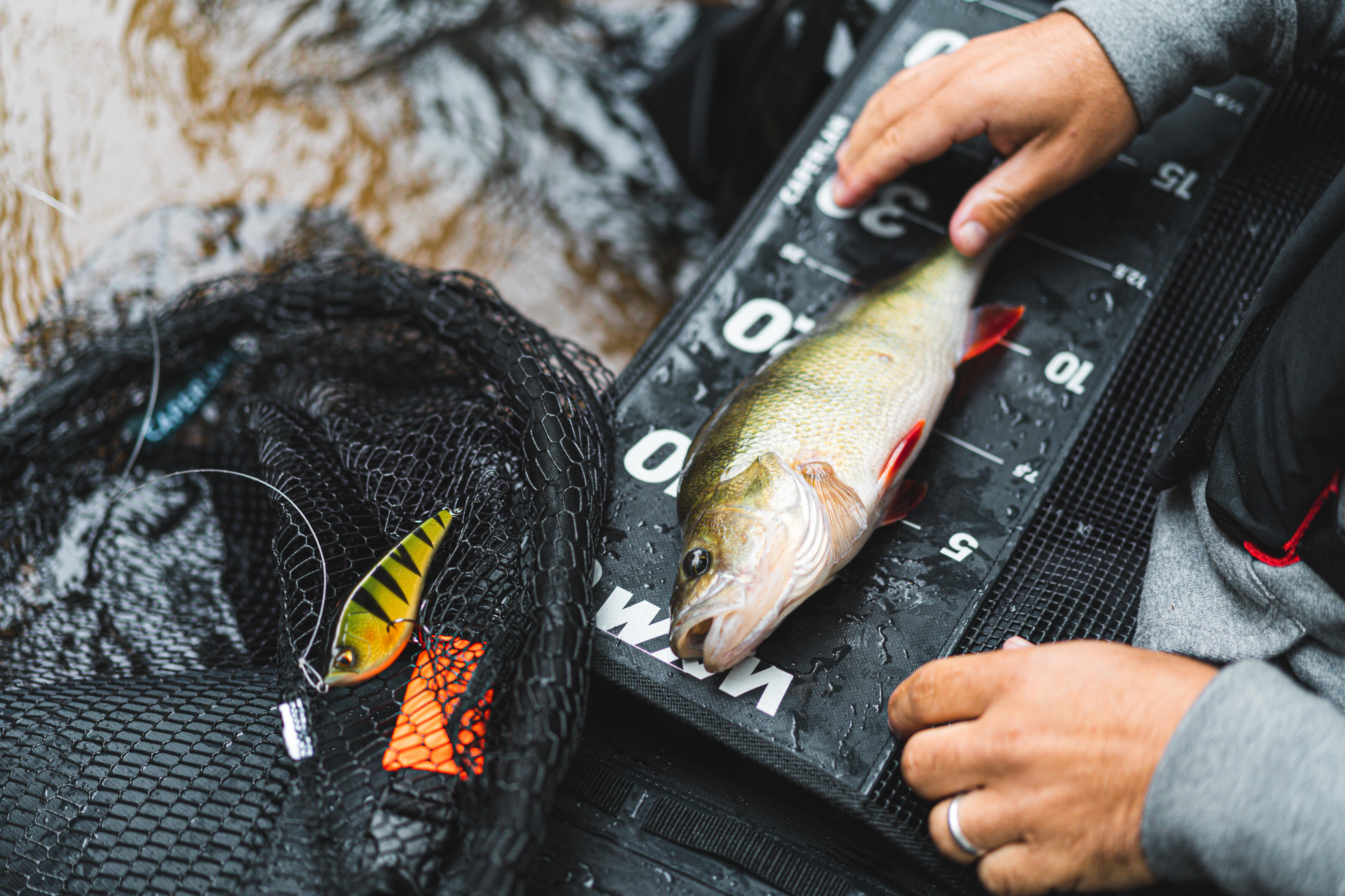 Plug Bait Jerkbait Perch - WXM JRK 100 SP - CAPERLAN