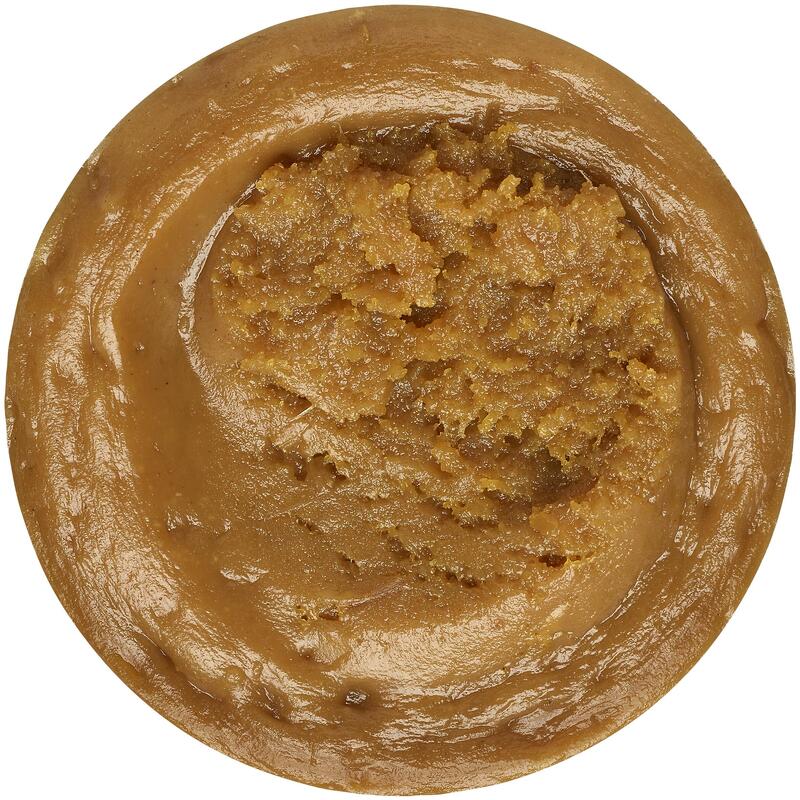 Sardine Bait Paste for Sea Fishing Decathlon