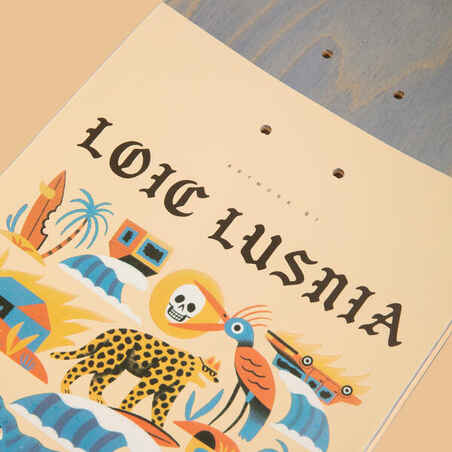 8,25" Maple Popsicle Skateboard Deck DK500Graphics by Loic Lusnia