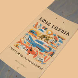 8,25" Maple Popsicle Skateboard Deck DK500Graphics by Loic Lusnia