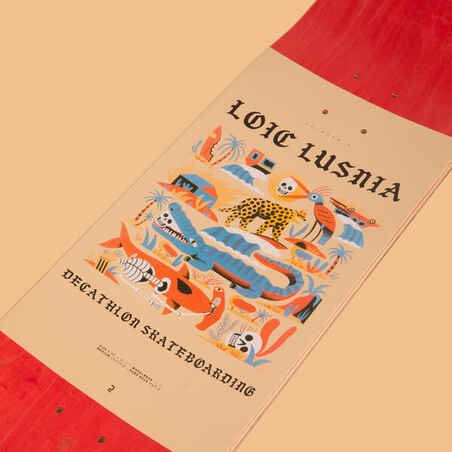 8.5" Maple Popsicle Skateboard Deck DK500Graphics by Loic Lusnia