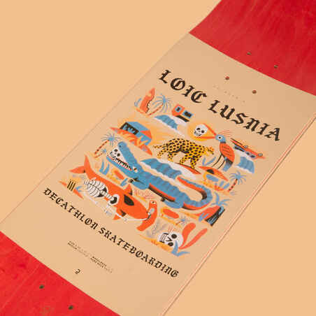 8.5" Maple Skateboard Deck DK500 - PopsicleGraphics by Loïc Lusnia