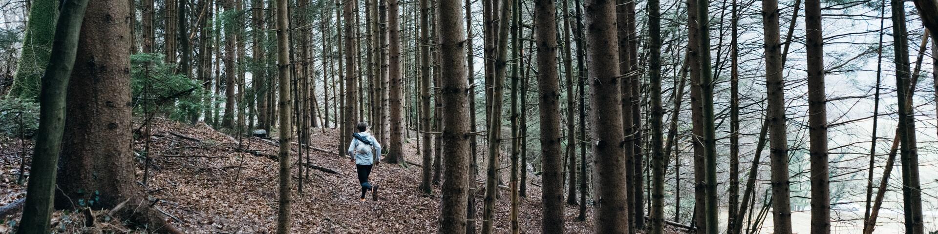 trail en forêt