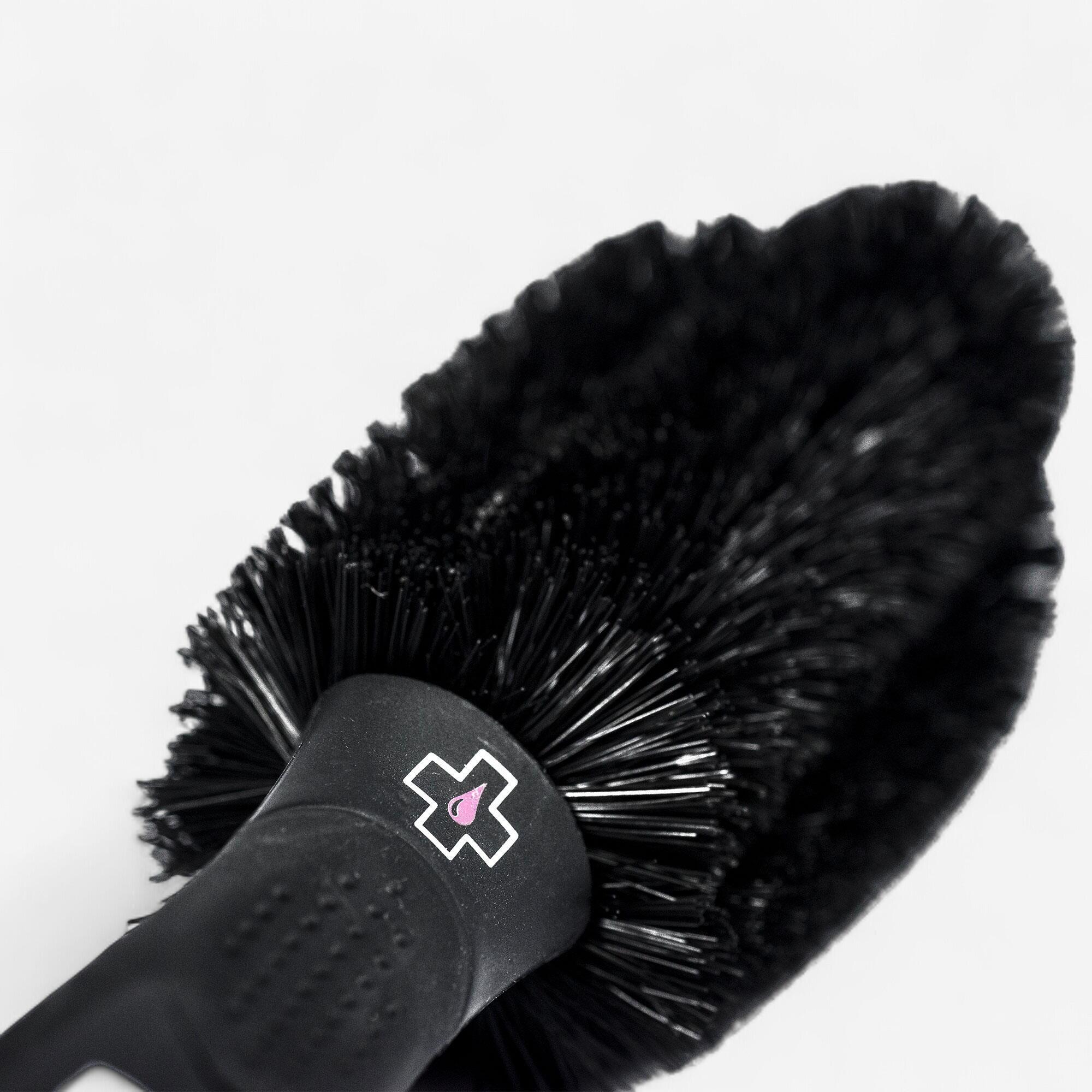 MUC-OFF picture
