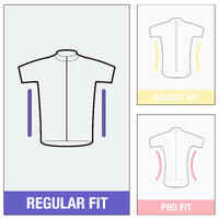 Men's Short-Sleeved Road Cycling Summer Jersey RC100 - Red