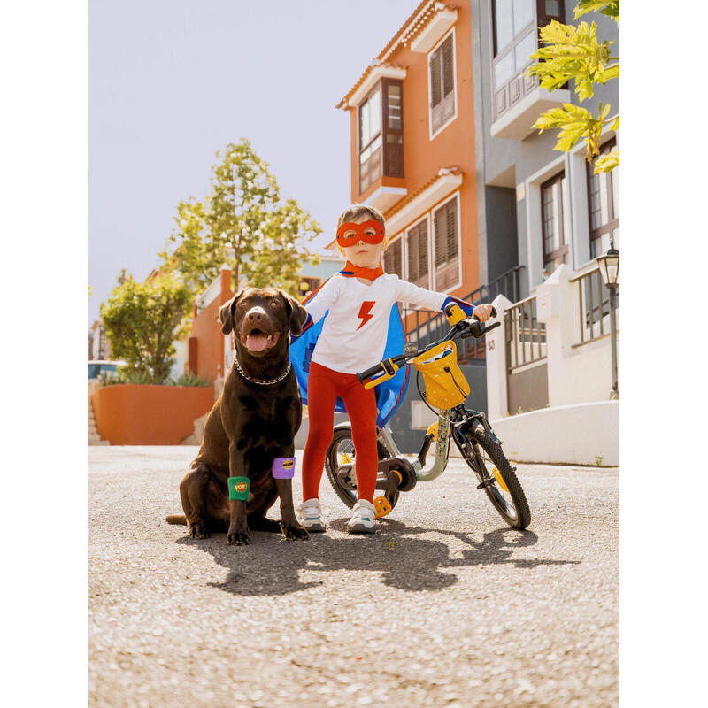 BICICLETA DE APRENDIZAGEM 2 EM 1 CRIANÇA 3-5 ANOS 14" DISCOVER 900 Verde